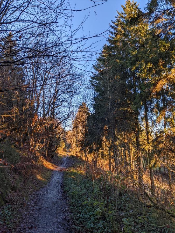 Zentrale Und Gemuetliche Ferienwohnung In Winterberg Nah An Der Natur Exterior foto