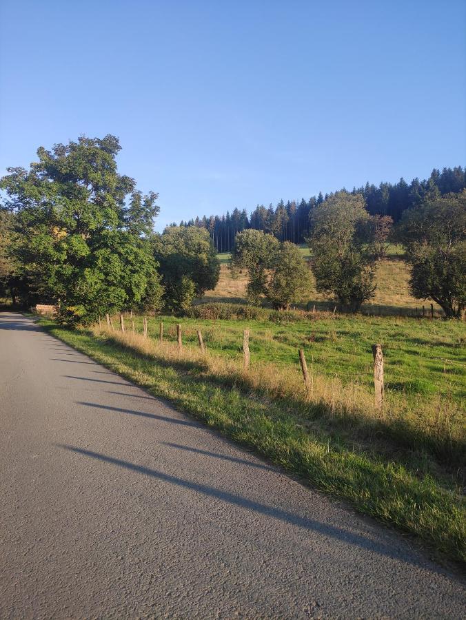 Zentrale Und Gemuetliche Ferienwohnung In Winterberg Nah An Der Natur Exterior foto