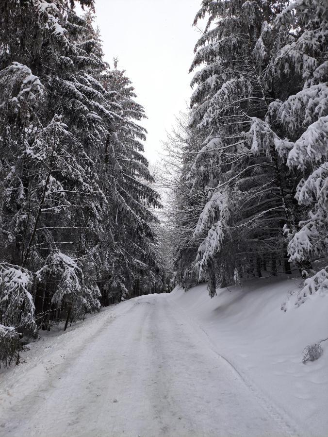 Zentrale Und Gemuetliche Ferienwohnung In Winterberg Nah An Der Natur Exterior foto