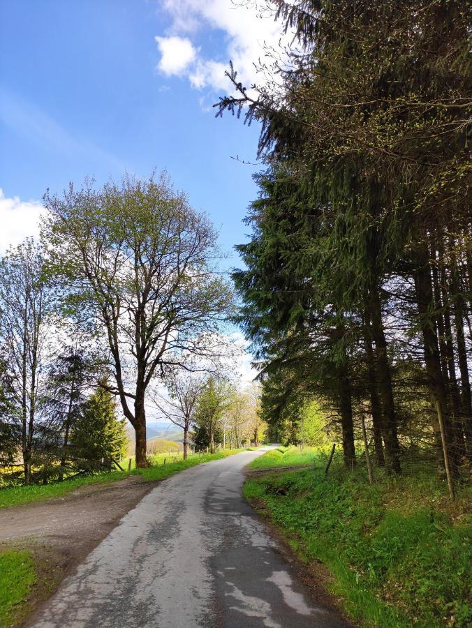 Zentrale Und Gemuetliche Ferienwohnung In Winterberg Nah An Der Natur Exterior foto