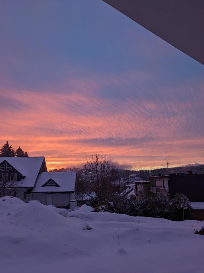 Zentrale Und Gemuetliche Ferienwohnung In Winterberg Nah An Der Natur Exterior foto